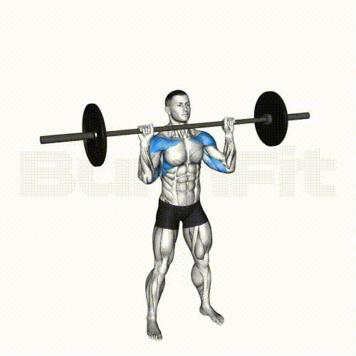 Barbell Overhead Press